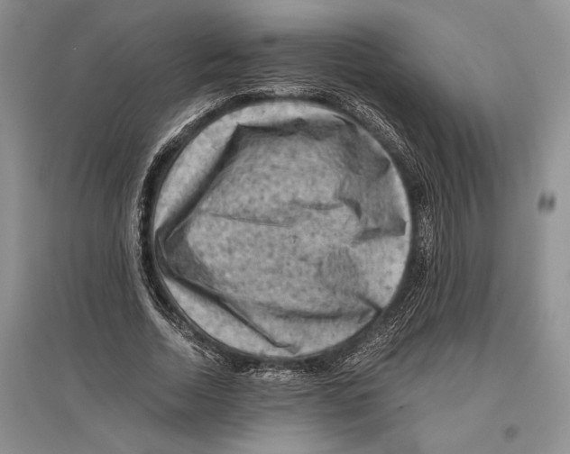 X0000096440730200802211209