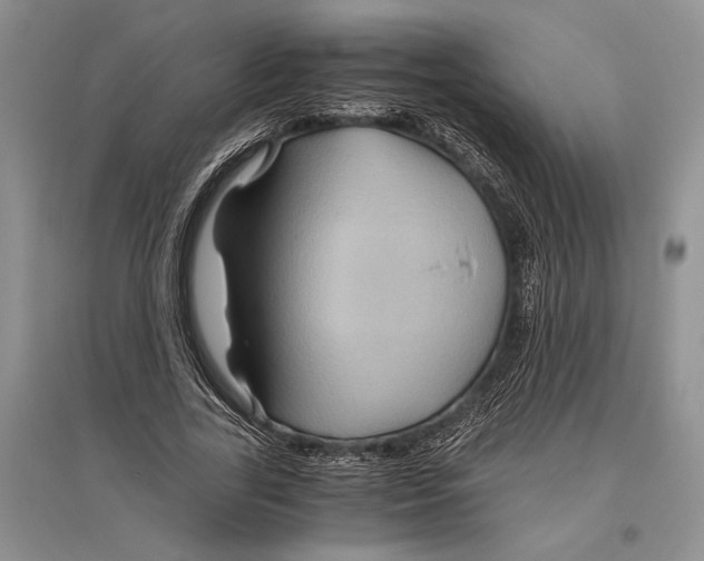 X0000096440731200802211209