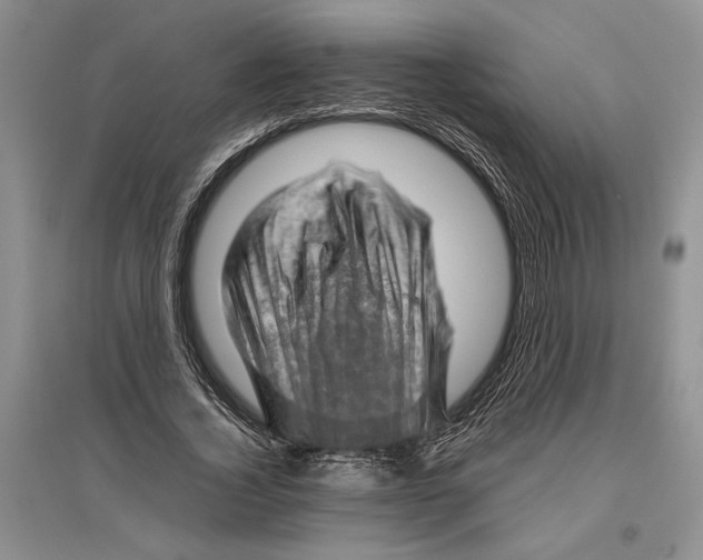 X0000096440732200802211209