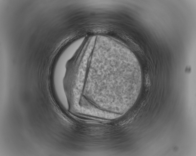 X0000096440733200802211209