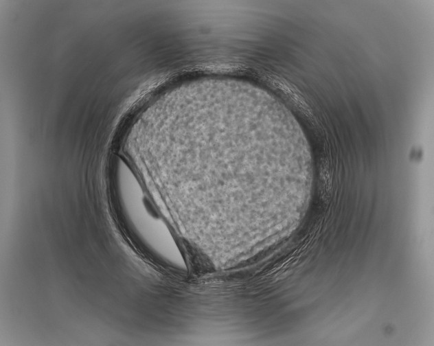 X0000096440734200802211209