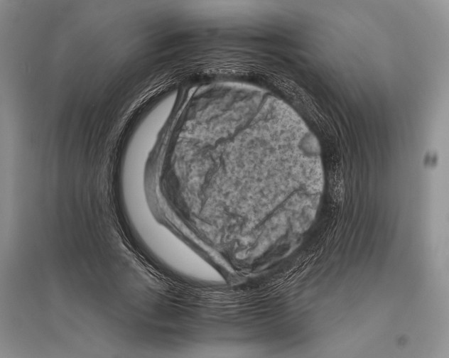 X0000096440735200802211209