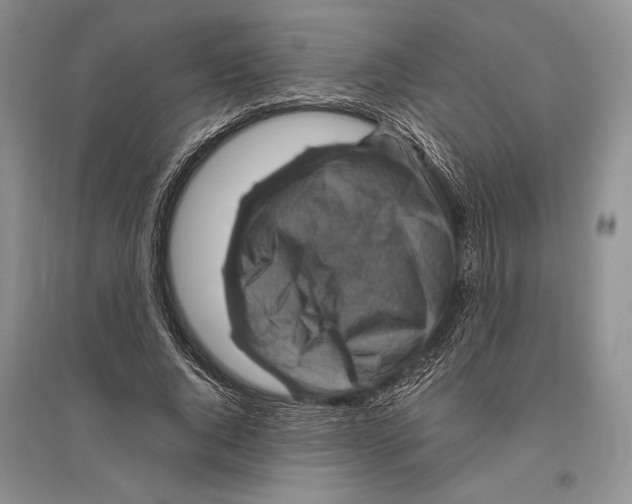 X0000096440736200802211209