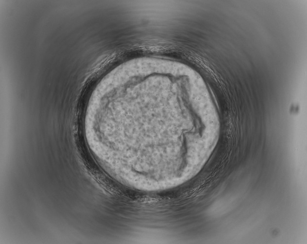 X0000096440738200802211209