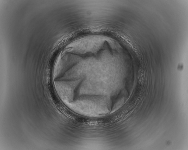 X0000096440740200802211209