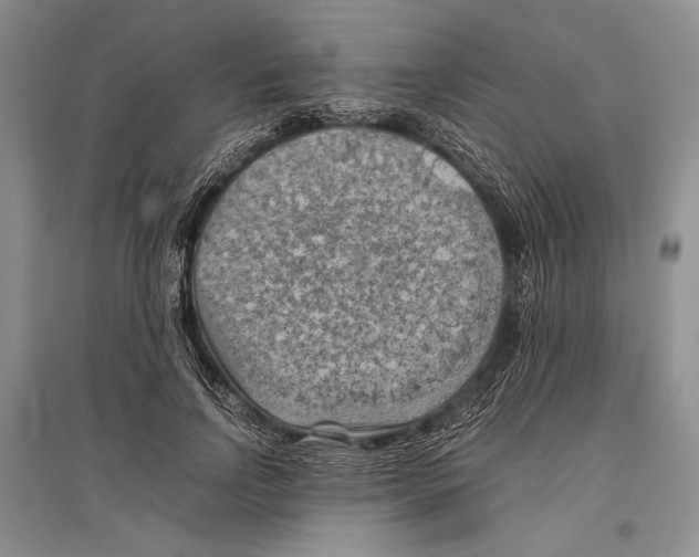 X0000096440742200802211209