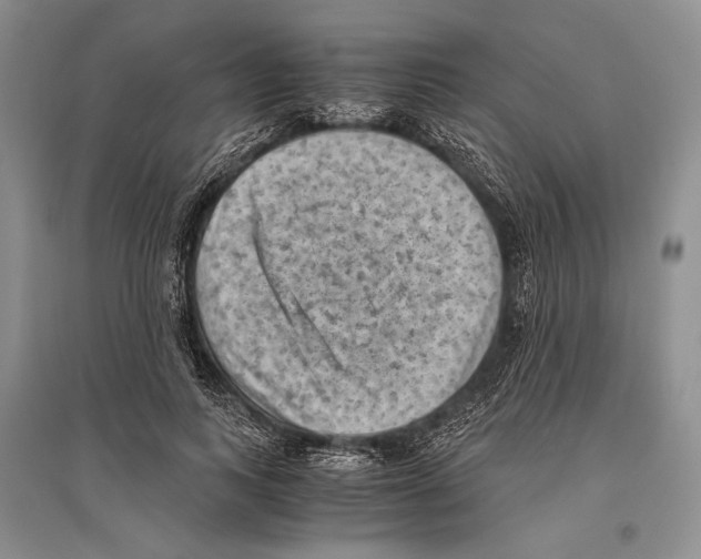 X0000096440743200802211209