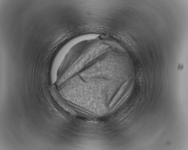 X0000096440744200802211210