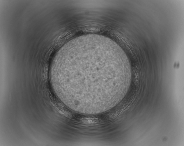 X0000096440745200802211210