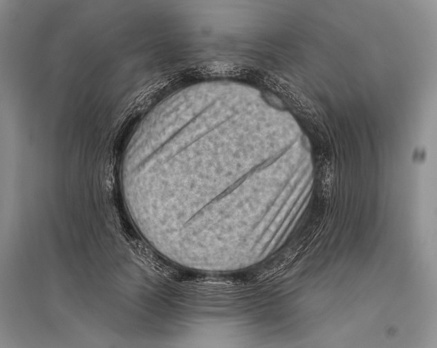 X0000096440746200802211210