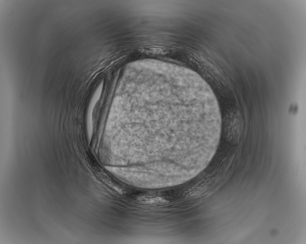 X0000096440747200802211210