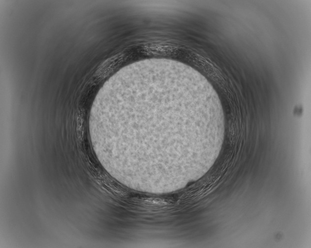 X0000096440749200802211210