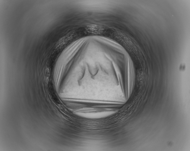 X0000096440752200802211210