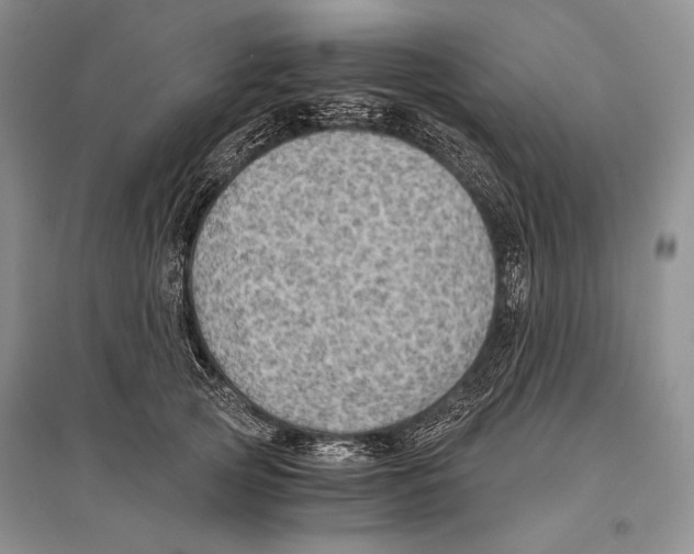 X0000096440753200802211210