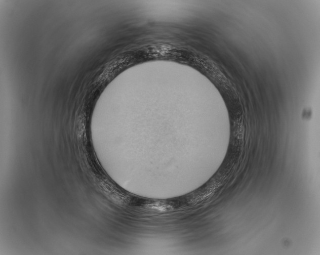 X0000096440754200802211210