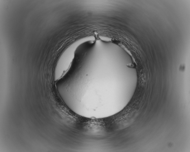 X0000096440756200802211210