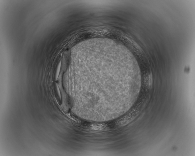 X0000096440757200802211210