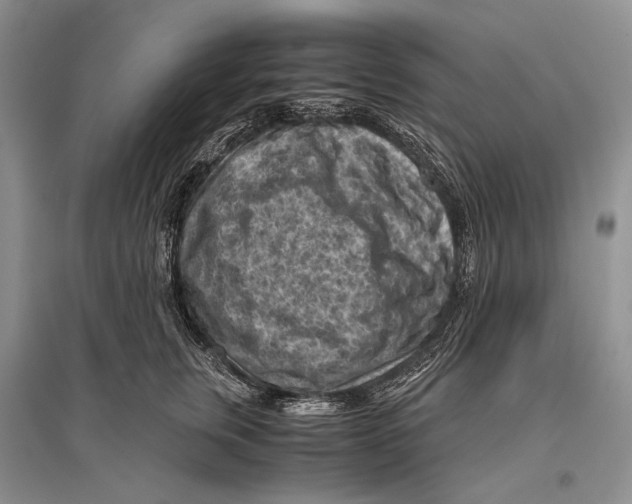 X0000096440759200802211210