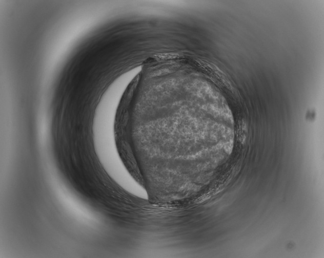 X0000096440763200802211210