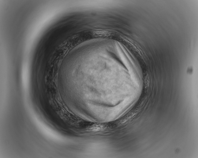 X0000096440764200802211210