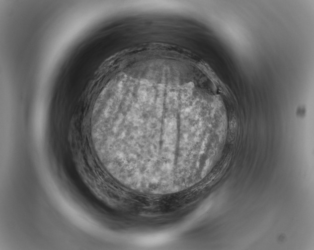 X0000096440765200802211210