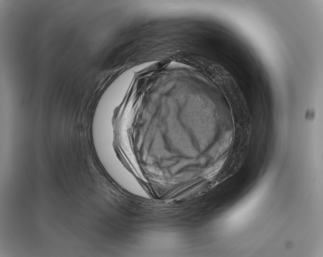 X0000096440767200802211210