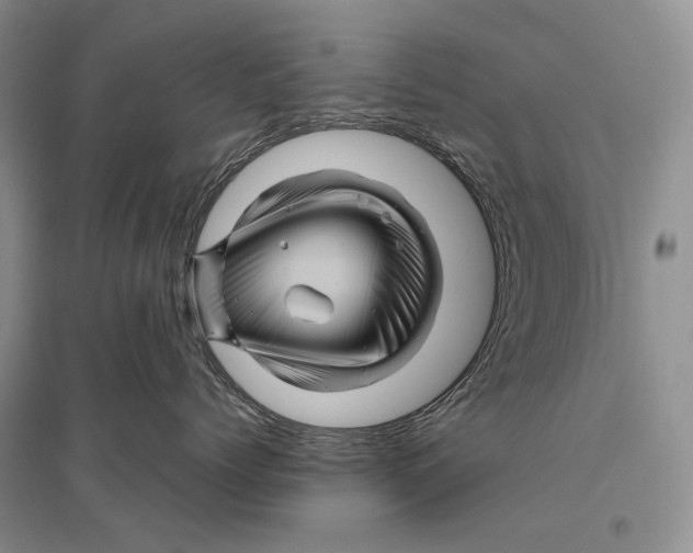 X0000096440768200802211210