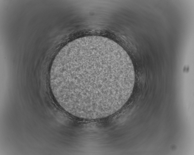 X0000096440769200802211209