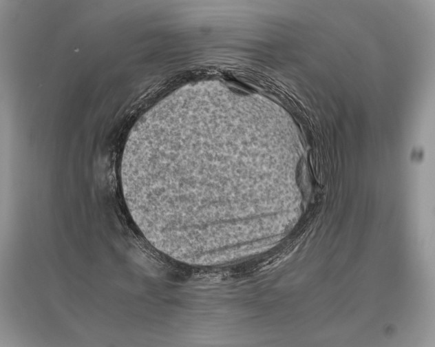 X0000096440771200802211209