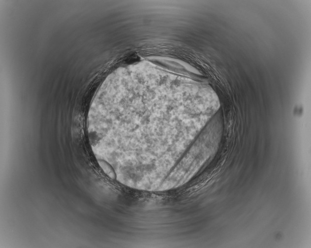 X0000096440772200802211209