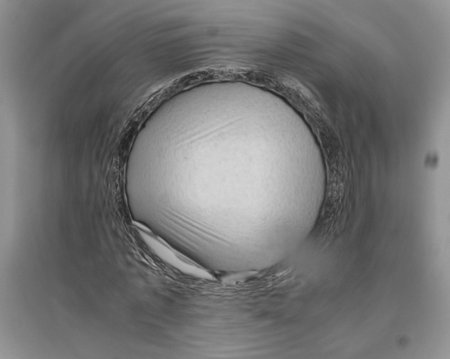 X0000096440773200802211209