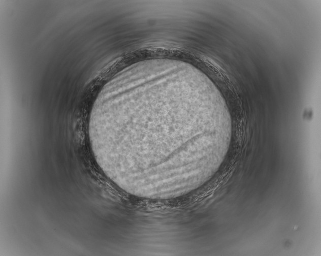 X0000096440774200802211209