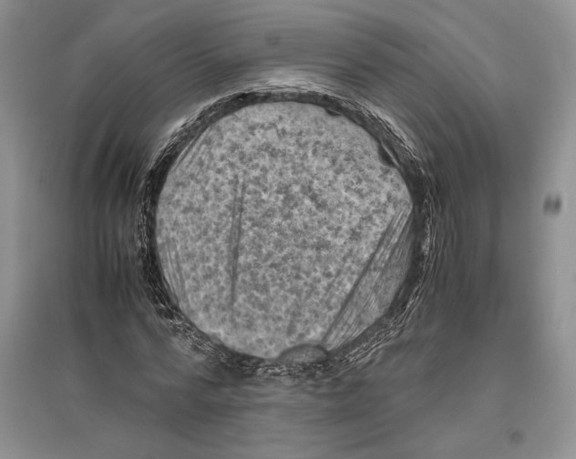 X0000096440776200802211209