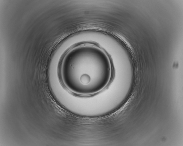 X0000096440777200802211209