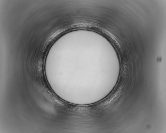 X0000096440778200802211209