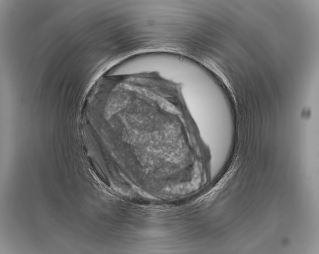 X0000096440781200802211209