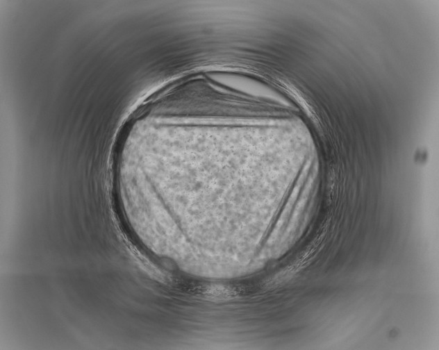 X0000096440787200802211209