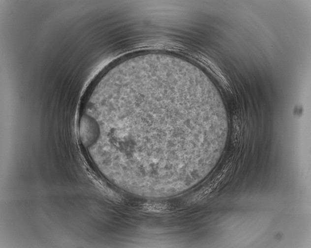 X0000096440788200802211209