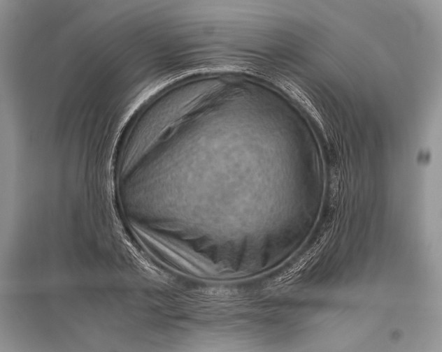 X0000096440789200802211209