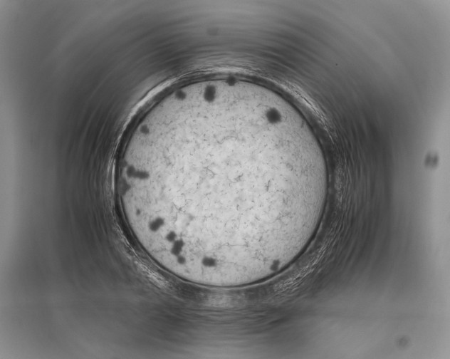 X0000096440790200802211209