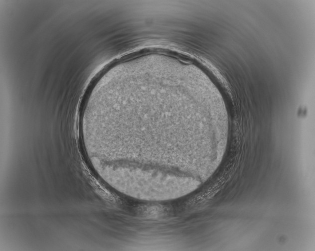 X0000096440791200802211209