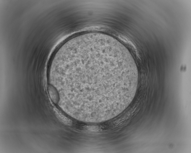 X0000096440792200802211209