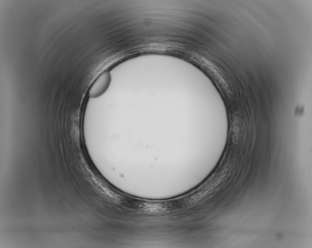 X0000096440794200802211209