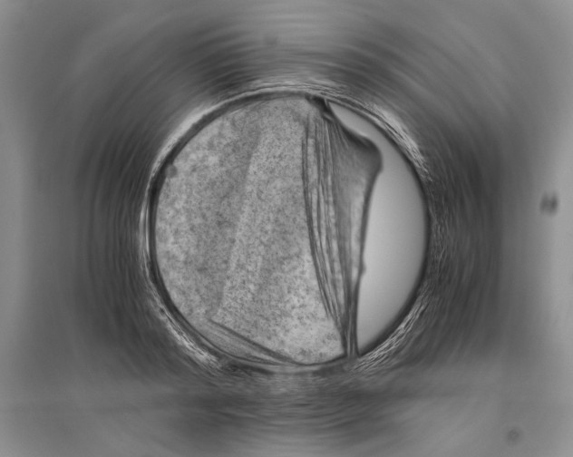 X0000096440796200802211209