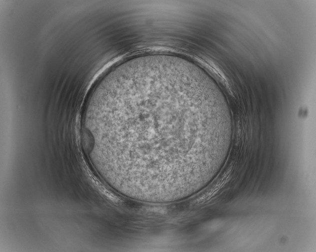 X0000096440798200802211209