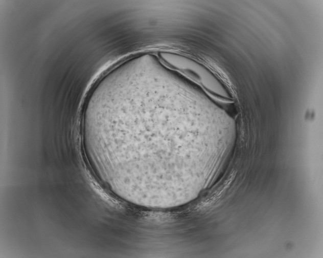 X0000096440800200802211209