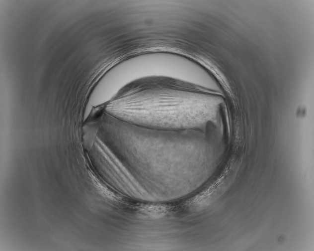 X0000096440801200802211209