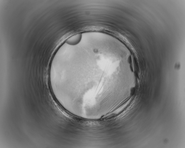 X0000096440802200802211209