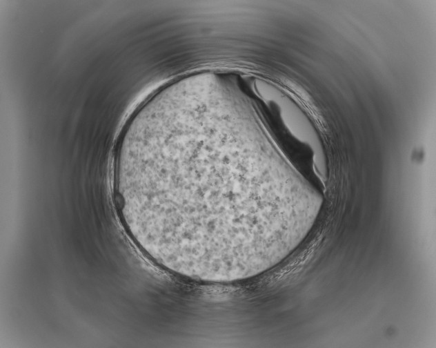 X0000096440804200802211209