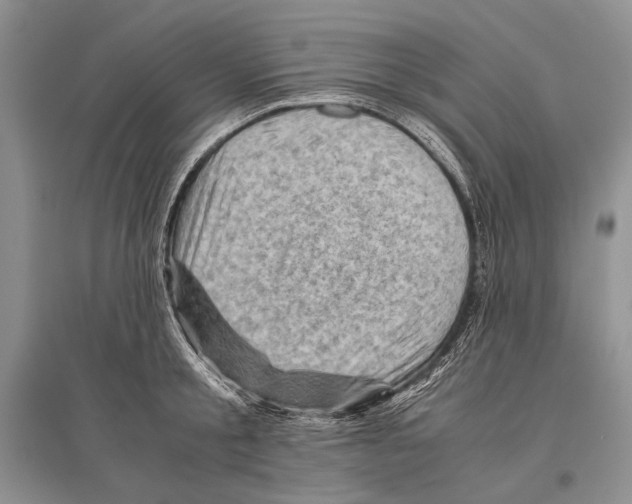 X0000096440805200802211209